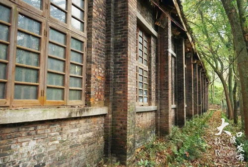 數字技術在文物保護中的應用 以馬王場遺址、白沙沱大橋和第二十一兵工廠火工所舊址保護范圍劃定為例