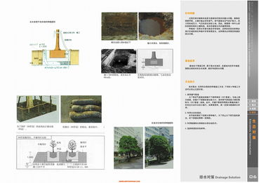 探尋現(xiàn)代與自然的交融 上海江南廣場景觀設計解析